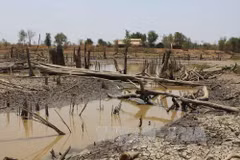 Central Highlands upgrade irrigation network