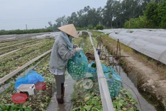 Int’l forum on new rural development opens in Hanoi