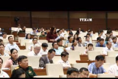 Legislature adopts resolution on e-visa pilot scheme 