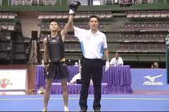 Vietnam takes medals at wushu world cup