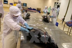 5,000 tonnes of tuna imported for locals