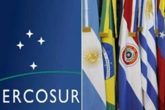 High potential seen in Vietnam-Mercosur partnership