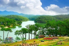 Da Lat’s homestay service attractive with unique design