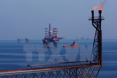 Oil & gas expo underway in Ba Ria-Vung Tau
