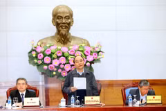 Deputy PM requests fixing overlapping administrative regulations