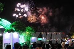 HCM City to hold firework displays for Tet celebration