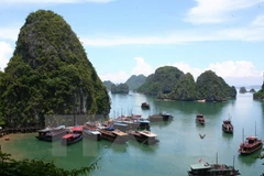 Vietnamese culture on show in Mexico