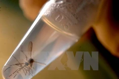 ASEAN health ministers battle with Zika in teleconference