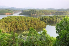 Foreign ambassadors tour Lam Dong province 