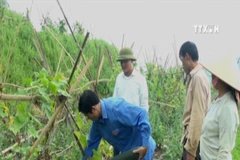 Model of safe vegetables changes remote commune