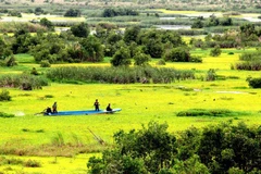 Expansion of U Minh Ha National Park gets approval
