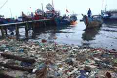 Marine ecosystems at risk of further damage 