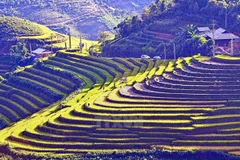 Northwestern provinces seek solutions for tourism development 