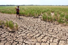 Cambodia launches water distribution campaign to drought –hit people
