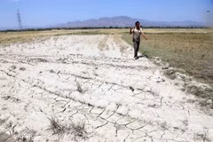Solutions to drought in central provinces sought