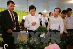 President visits hi-tech agricultural farms in Lam Dong