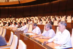 Danish, Vietnamese lawmakers hold discussion in Ninh Binh 