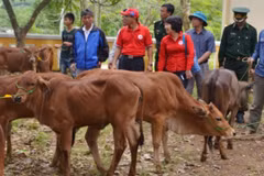 US company helps Thanh Hoa locals improve livelihoods 