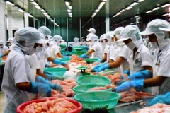 Panama to import Vietnam’s seafood