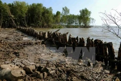  Tien Giang builds sluices to fight saline intrusion