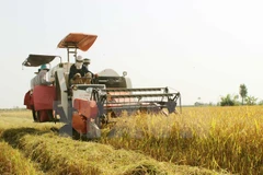 Conference accelerates new-style rural area building programme 