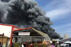 Fire in Berlin-based Dong Xuan centre causes huge economic loss 