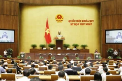First session of 14th National Assembly opens 