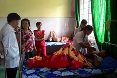 Dengue fever drops in HCM City
