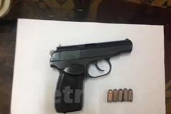 Airgun and 2,000 pellets hidden in import goods found 