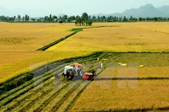Vietnam gains noted economic achievements after 30 years of Doi Moi