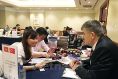 Vietnam-Turkey trade expected to reach 3 bln USD in 2016