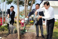 President launches Tree Planting Festival in Tuyen Quang