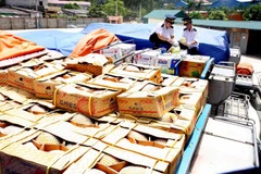 Tarriff exemptions for Chinese, ASEAN goods 