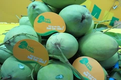 Dong Thap promotes fruit exports 