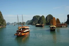 Ha Long, Cat Ba cooperate to improve environment 