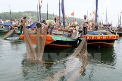 Marine ecosystems at risk of further damage
