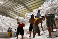 Philippines plans to import more rice from Vietnam, Thailand