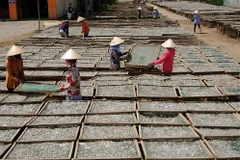 Ca Mau to raise villagers' incomes