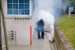 Twelve new Zika cases reported in Singapore 