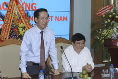Party official meets Vietnamese representatives abroad