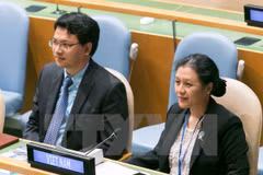 Vietnam highlights women’s participation in all areas