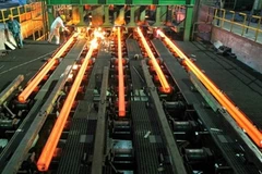 PM asks Ministry of Industry and Trade to sell TISCO