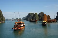 Ha Long, Cat Ba cooperate to improve environment 