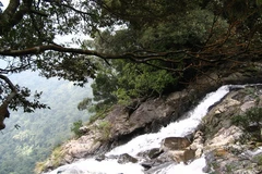 Centre for nature conservation built in Thua Thien-Hue