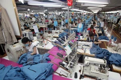 Vietnam-Eurasian FTA offers opportunities, challenges