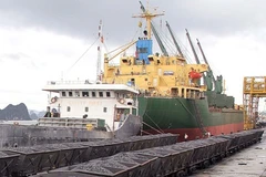 New products attract high export demand 