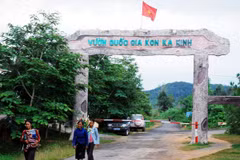 Gia Lai works to preserve Kon Ka Kinh National Park