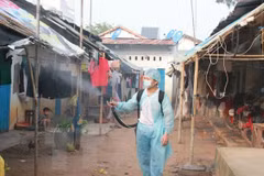 Central Highlands: high alert for dengue fever 