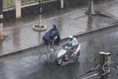 Downpour brings relief to drought-stricken Long An