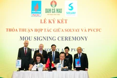 Vietnamese, Belgian firms cooperate in producing high-quality urea